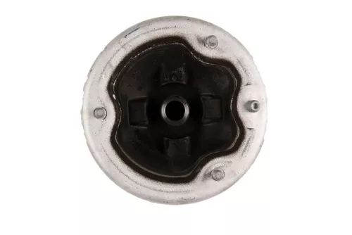 Federbeinstützlager