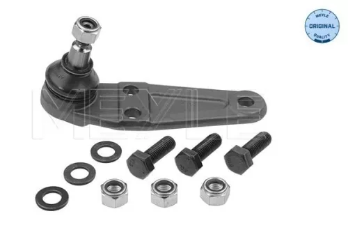 Trag-/Führungsgelenk