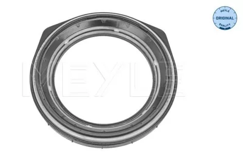 Wälzlager, Federbeinstützlager